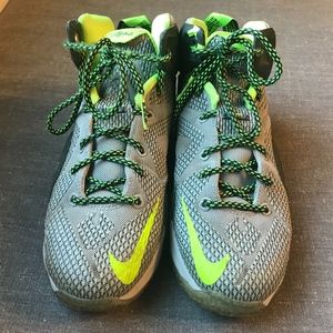 Nike Lebron Sneakers